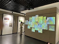 光雕艺术——新虞山十八景投影作品